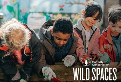 LDO's partnership with the Butterfly Conservation
