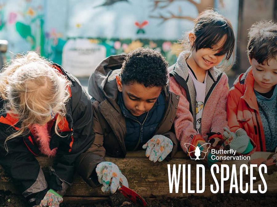 LDO’s partnership with the Butterfly Conservation